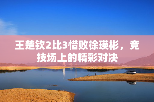 王楚钦2比3惜败徐瑛彬，竞技场上的精彩对决