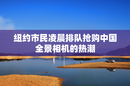 纽约市民凌晨排队抢购中国全景相机的热潮