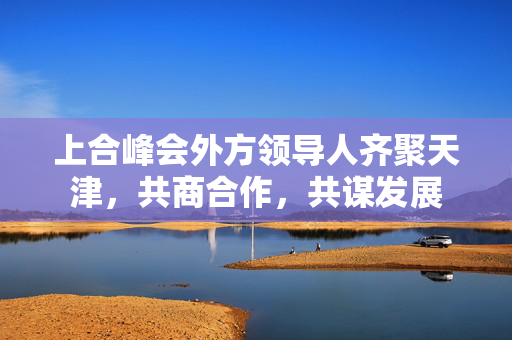 上合峰会外方领导人齐聚天津，共商合作，共谋发展