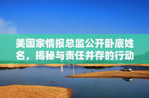 美国家情报总监公开卧底姓名，揭秘与责任并存的行动