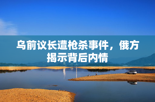 乌前议长遭枪杀事件，俄方揭示背后内情