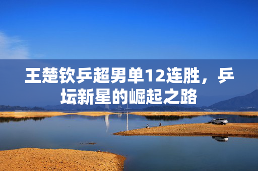 王楚钦乒超男单12连胜，乒坛新星的崛起之路