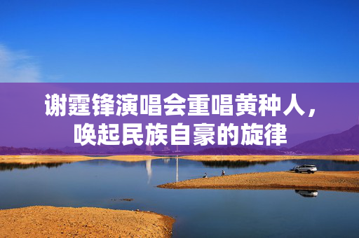 谢霆锋演唱会重唱黄种人，唤起民族自豪的旋律