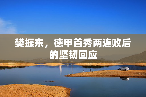 樊振东，德甲首秀两连败后的坚韧回应