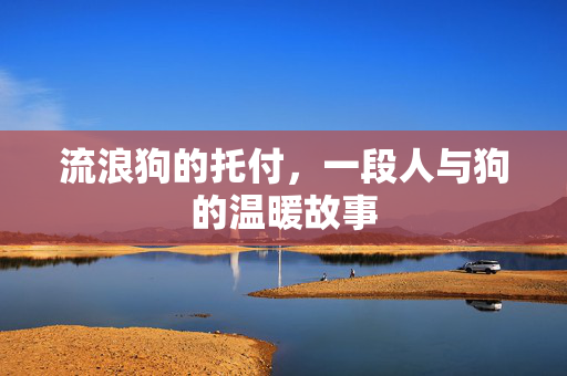 流浪狗的托付，一段人与狗的温暖故事