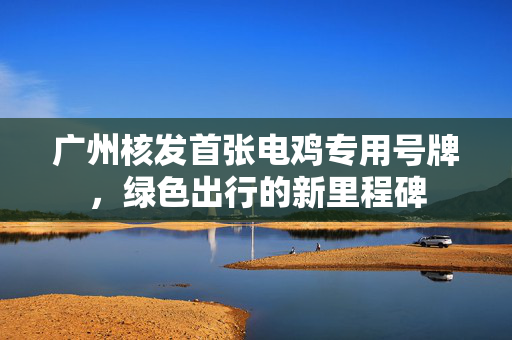 广州核发首张电鸡专用号牌，绿色出行的新里程碑