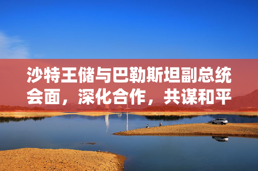 沙特王储与巴勒斯坦副总统会面，深化合作，共谋和平