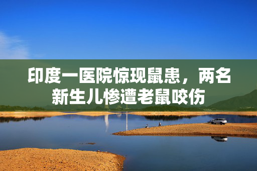 印度一医院惊现鼠患，两名新生儿惨遭老鼠咬伤