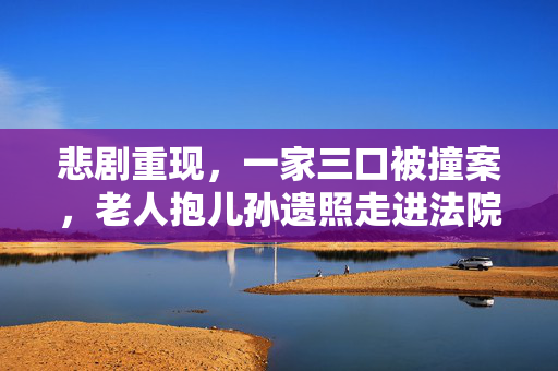 悲剧重现，一家三口被撞案，老人抱儿孙遗照走进法院
