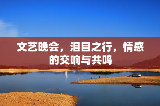 文艺晚会，泪目之行，情感的交响与共鸣