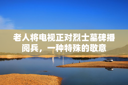 老人将电视正对烈士墓碑播阅兵，一种特殊的敬意