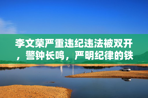 李文荣严重违纪违法被双开，警钟长鸣，严明纪律的铁腕治理