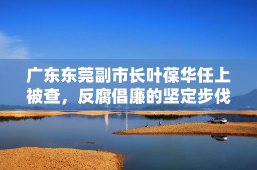 广东东莞副市长叶葆华任上被查，反腐倡廉的坚定步伐