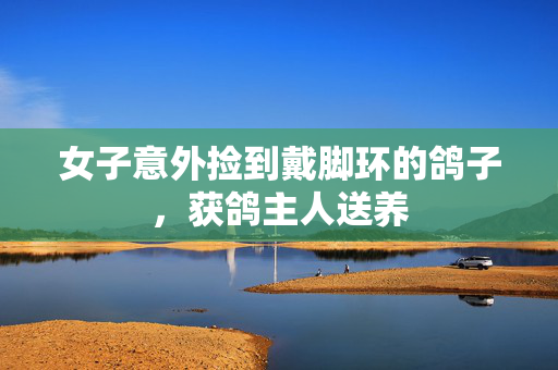 女子意外捡到戴脚环的鸽子，获鸽主人送养