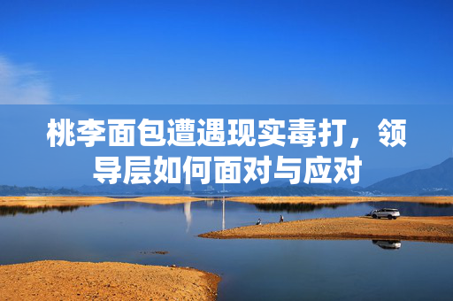 桃李面包遭遇现实毒打，领导层如何面对与应对