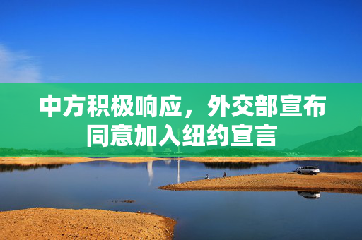 中方积极响应，外交部宣布同意加入纽约宣言