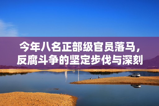 今年八名正部级官员落马，反腐斗争的坚定步伐与深刻启示