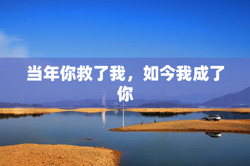 当年你救了我，如今我成了你