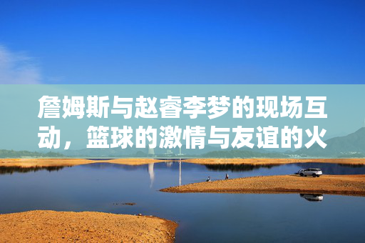 詹姆斯与赵睿李梦的现场互动，篮球的激情与友谊的火花