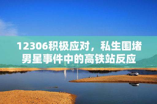 12306积极应对，私生围堵男星事件中的高铁站反应