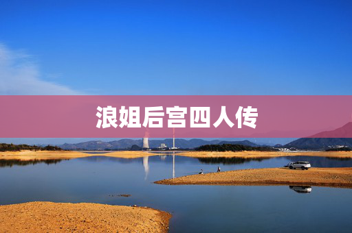 浪姐后宫四人传