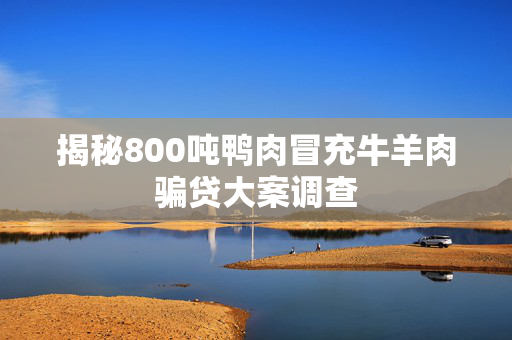 揭秘800吨鸭肉冒充牛羊肉骗贷大案调查