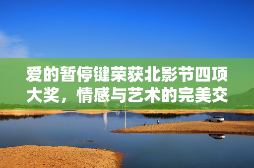 爱的暂停键荣获北影节四项大奖，情感与艺术的完美交融
