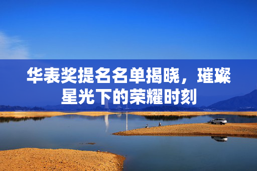 华表奖提名名单揭晓，璀璨星光下的荣耀时刻