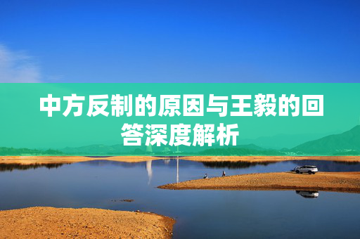 中方反制的原因与王毅的回答深度解析