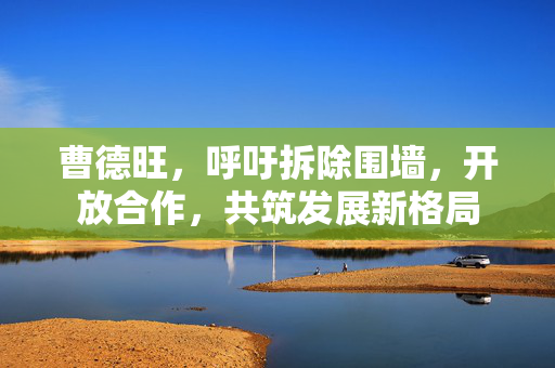 曹德旺，呼吁拆除围墙，开放合作，共筑发展新格局