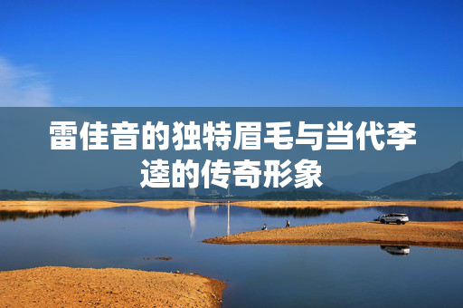 雷佳音的独特眉毛与当代李逵的传奇形象