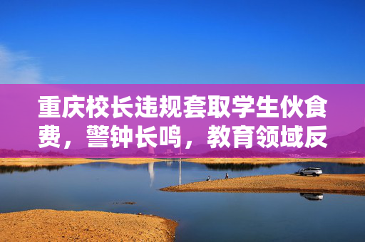 重庆校长违规套取学生伙食费，警钟长鸣，教育领域反腐刻不容缓