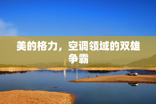美的格力，空调领域的双雄争霸