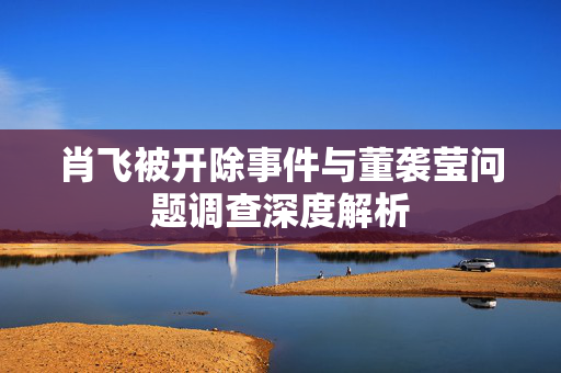 肖飞被开除事件与董袭莹问题调查深度解析