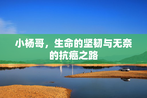 小杨哥，生命的坚韧与无奈的抗癌之路