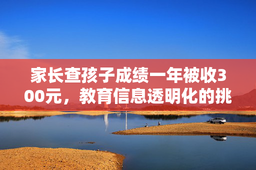 家长查孩子成绩一年被收300元，教育信息透明化的挑战与思考