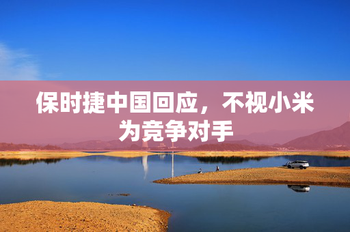 保时捷中国回应，不视小米为竞争对手