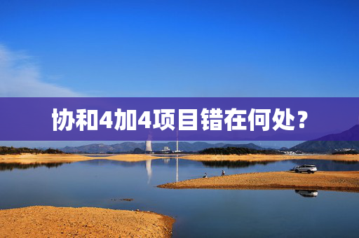协和4加4项目错在何处？