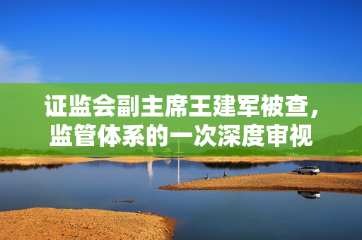 证监会副主席王建军被查，监管体系的一次深度审视
