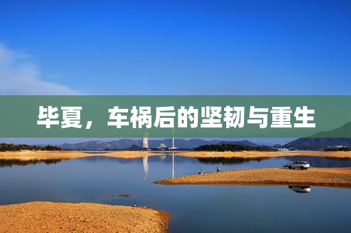 毕夏，车祸后的坚韧与重生
