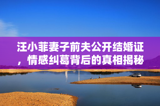 汪小菲妻子前夫公开结婚证，情感纠葛背后的真相揭秘