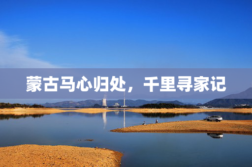 蒙古马心归处，千里寻家记