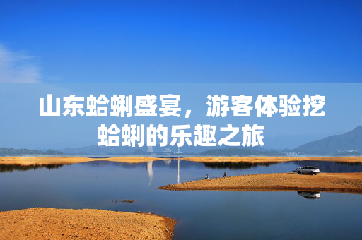 山东蛤蜊盛宴，游客体验挖蛤蜊的乐趣之旅