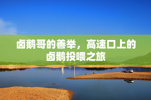 卤鹅哥的善举，高速口上的卤鹅投喂之旅