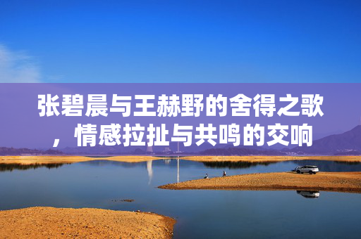 张碧晨与王赫野的舍得之歌，情感拉扯与共鸣的交响