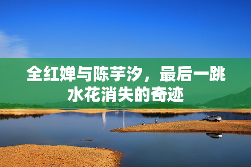 全红婵与陈芋汐，最后一跳水花消失的奇迹