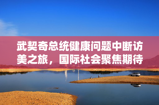武契奇总统健康问题中断访美之旅，国际社会聚焦期待