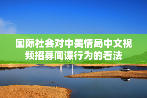 国际社会对中美情局中文视频招募间谍行为的看法